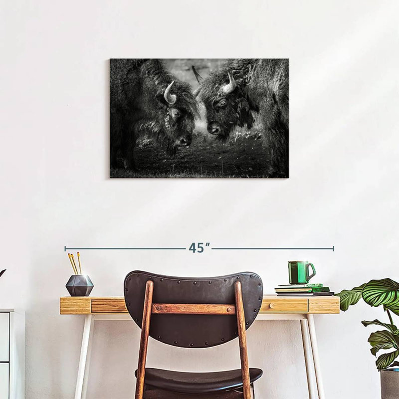 Brampt Bisons Head To Head, 20" H x 30" W
