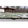 Hague Botanical Green Indoor/Outdoor Area Rug
