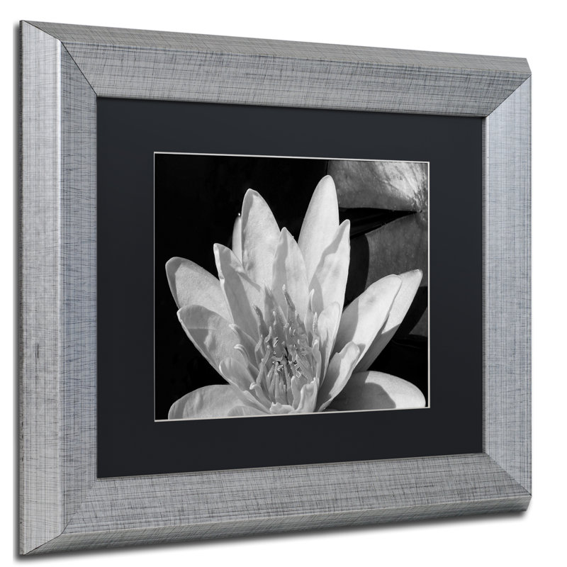 Nénuphar en noir et blanc - reproduction de photo sur toile encadrée, H 11 po x l 14 po x P 0,5 po