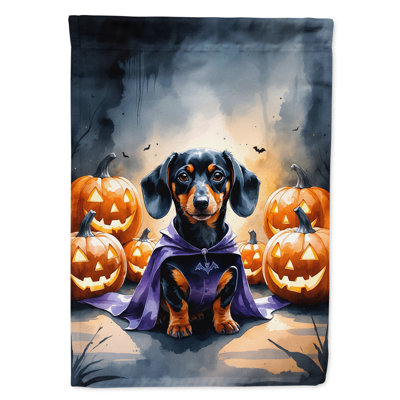 Drapeau de chiot Halloween House