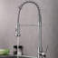 Belfry Kitchen Fresnel Pull Down Kitchen Faucet