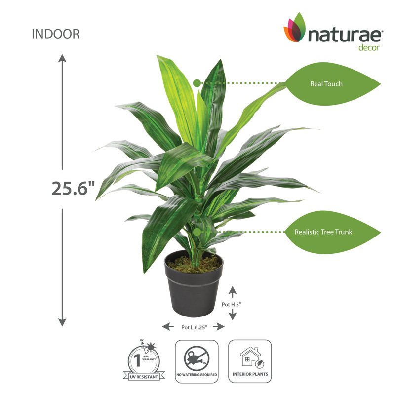 Dracaena artificiel en pot, H 25,59 po x l 26,5 po x P 26,5 po