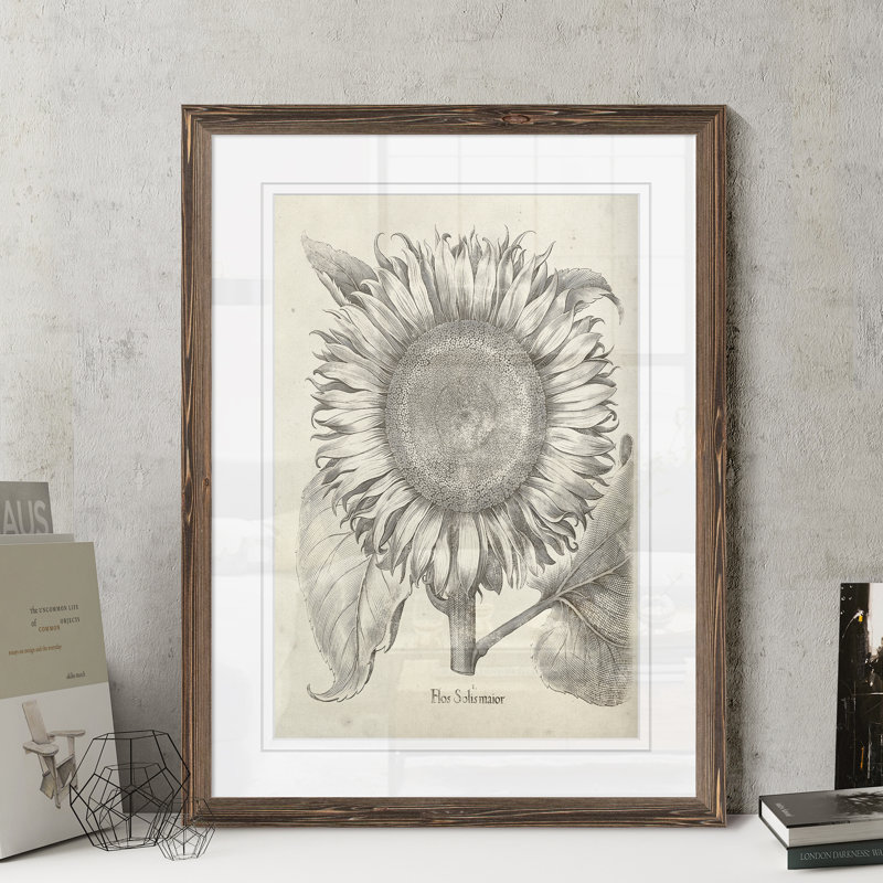 « fresco-tournesol i » par paul cezanne-reproduction d’art sur image, H 32 po x l 44 po x 1,25 po