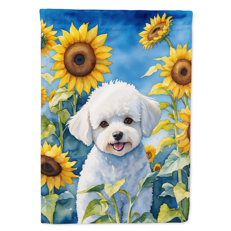 Drapeau de la maison du tournesol Malamute d'Alaska, Bichon frisé