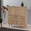 Brito Rectangle Accent Chest