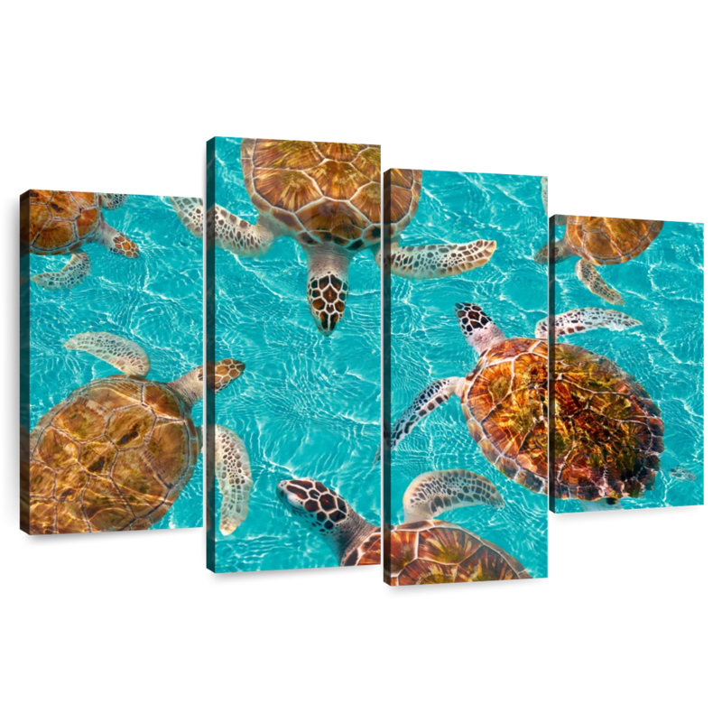 Bramt, tortues de la Riviera Maya, H 27 po x l 43 po