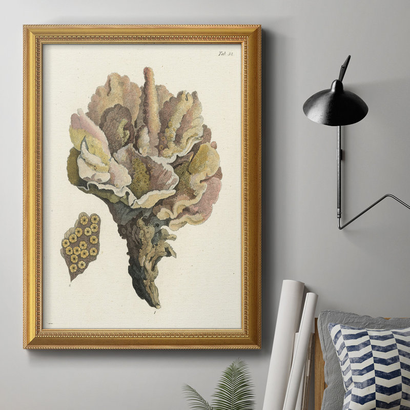 Toile encadrée antique Coral III de qualité supérieure - prête à être accrochée, H 20 po x l 16 po x P 1 po