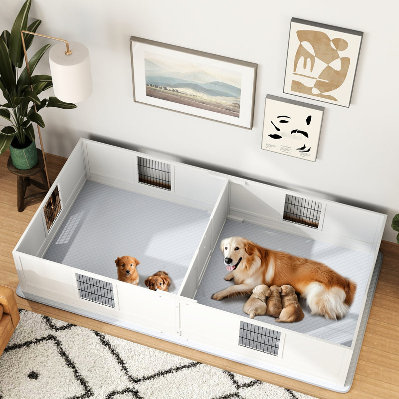 Cage de maternité pour chien