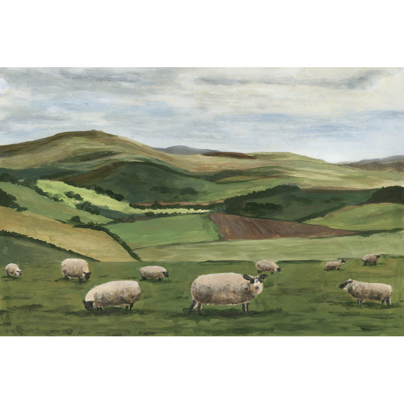 «Highland Sheep II on Canvas» par Michael Willett, reproduction, L 48 po x H 32 po