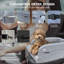 Compresseur de siège pour chien Man Friend