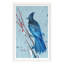 Blue Jay 3 Print by PC Ngo-1597885287-1597885282
