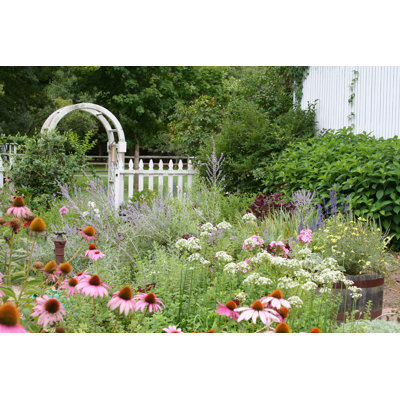 Jardin - photographie sur toile tendue
