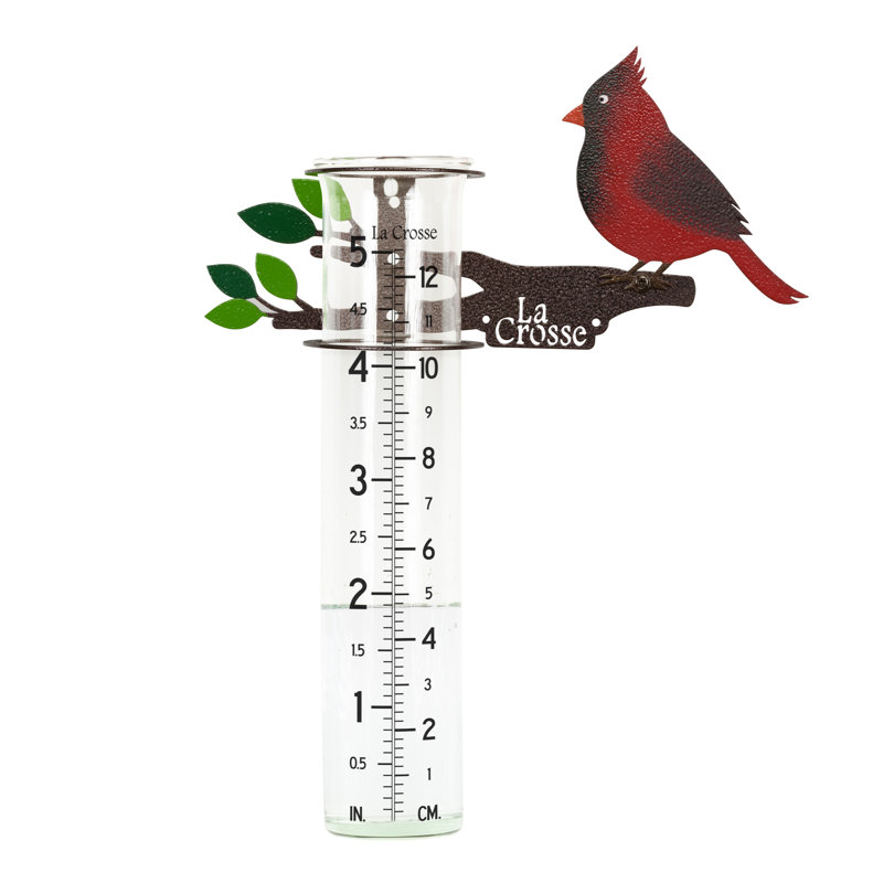 Pluviomètre cardinal en métal La Crosse 704-4612 d'une capacité de 5 pouces