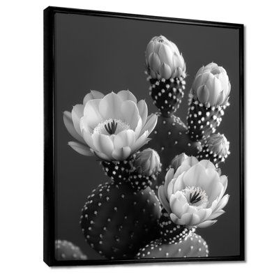 Cactus monochrome gris botanique Bliss II - cactus floral