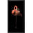 Flamingo 12 - Single Picture Frame Print