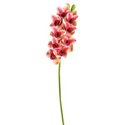 Artificial 33" Cymbidium Stem, Real Touch