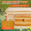 VEVOR Bee Hive Medium Box Starter Kit