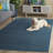 Fahm Performance Solid Color Rug-1219651311