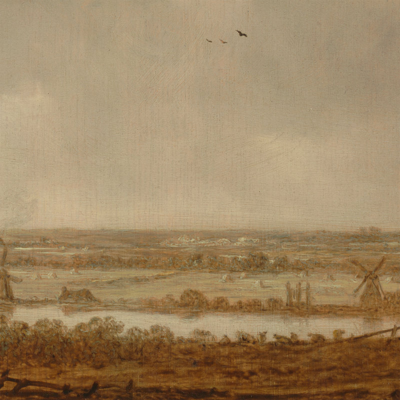 Polder Landscape Print by Jan Van Goyen