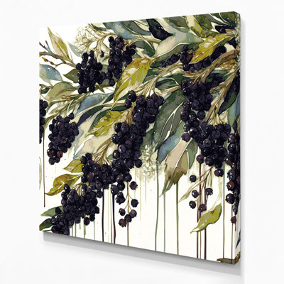 Fruit, sureau blanc, art mural