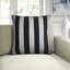 Zac Square Pillow Cover & Insert
