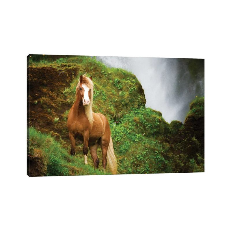 Collection Of Horses I by PHBurchett - Wrapped Canvas Print, 20.32 cm H x 30.48 cm W