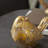 Polystone Bird Decorative Sculpture Set-205174777