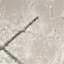 Affie Geometric Area Rug-1811632399