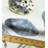 Persea 100% Cotton Fabric