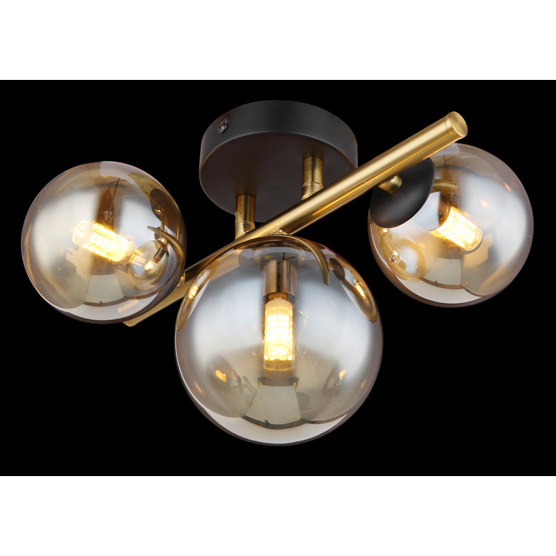 Candance Glass Spotlight