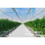 GrowFloor Greenhouse and Growroom Flooring-122918788