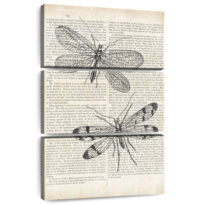 Brampt Vintage Dragonflies On Newsprint