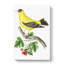 Golden Finch by George Shaw - Wrapped Canvas-55304575