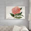 Peony Blush II by Curtis - Painting Print-1626601371-1700806384