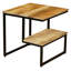 Chaparro Side Table - Mango Wood