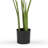 Artificial Bird Of Paradise Tree In Plastic Nursery Pot-1353042474
