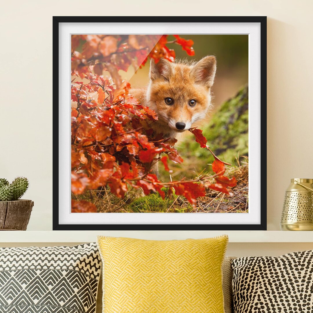 Gerahmtes Poster Fox in Fall