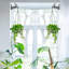Wall Planter