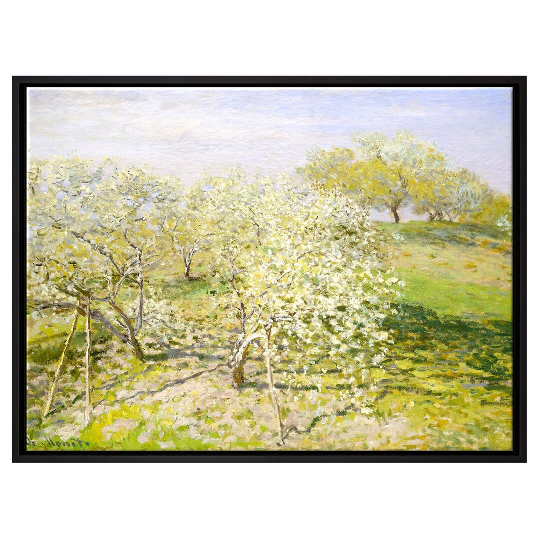 Gerahmtes Leinwandbild Spring Apple Trees in Bloom von Claude Monet