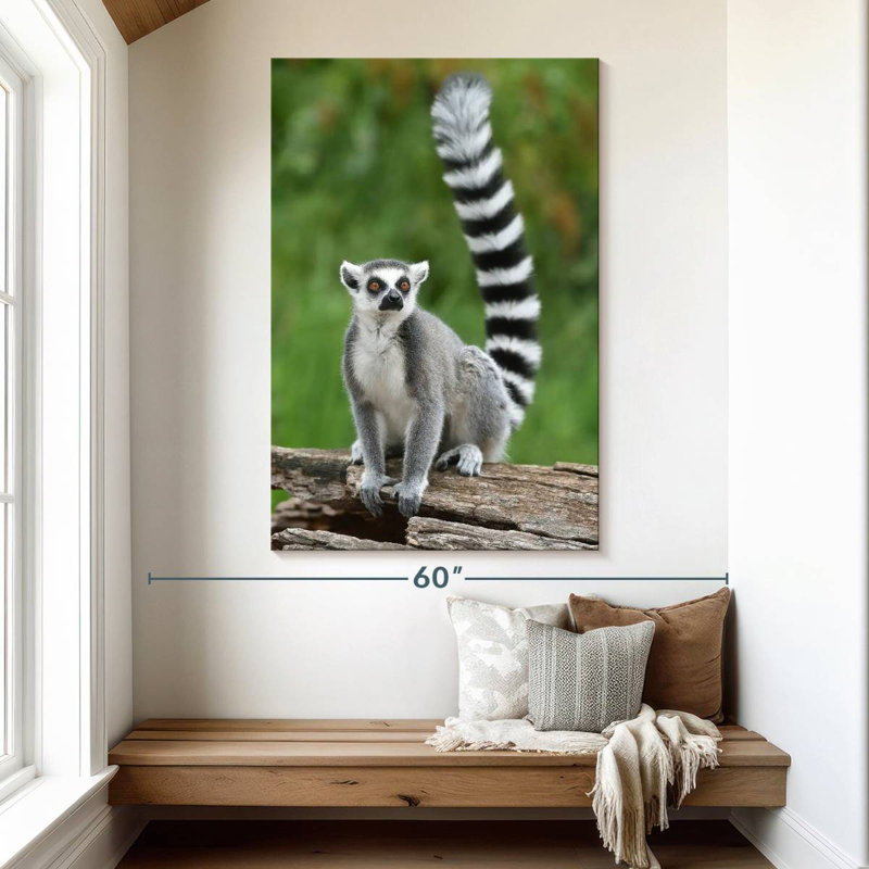 Brampt Ring Tailed Lemur On A Log, 51" H x 34" W