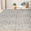 One-of-a-Kind 8'7" X 11'10" Area Rug