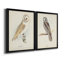 Barn Owl - Ensemble de 2 peintures sur toile encadrées-42979504-42979508