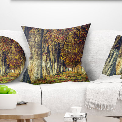Colorful and Serene Autumn Forest - Forest Printed Throw Pillow