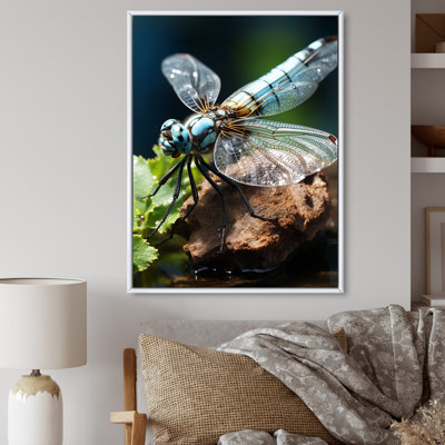 " White Dragonfly Insects Flight "