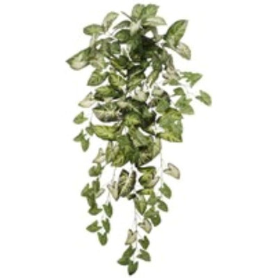 Hanging Nephthytis Bush 36" - 2 Pack Faux Greenery Set