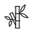 Bamboo