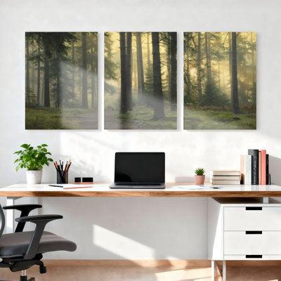 Ensemble de 3 toiles murales représentant un paysage de forêt brumeuse