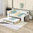 Full Size Wood Daybed with LED Strip, Trundle, Built-In Charging Station and Convertible Desk-1355150752