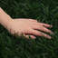 Plant-129932172-129932169