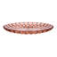 Jelly Acrylic Dinner Plate-9653869
